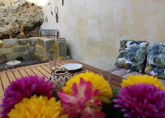 Aloni Studio