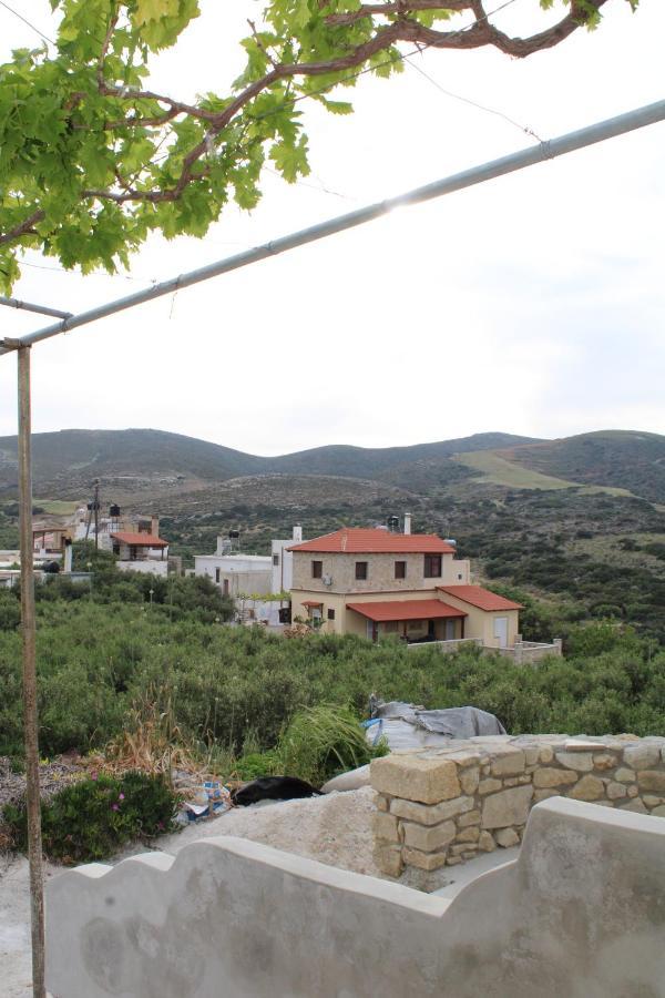 Apartment Aloni *