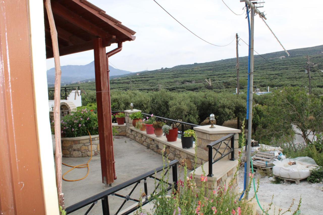 Aloni Apartment